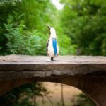 handcrafted Decorative Bird Figurine - Image 4