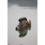 Handcrafed Decorative Fish Figure - Image 2