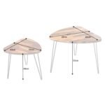 Sheesham Wood Center Coffee Table Nesting Table | Tea Table for Home Office Wooden Tables for Living Room | (Teak Finish with Iron Legs) - Image 4